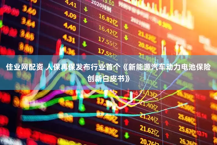 佳业网配资 人保再保发布行业首个《新能源汽车动力电池保险创新白皮书》