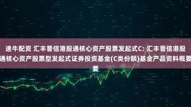 速牛配资 汇丰晋信港股通核心资产股票发起式C: 汇丰晋信港股通核心资产股票型发起式证券投资基金(C类份额)基金产品资料概要