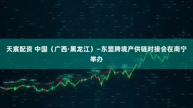 天宸配资 中国（广西·黑龙江）—东盟跨境产供链对接会在南宁举办