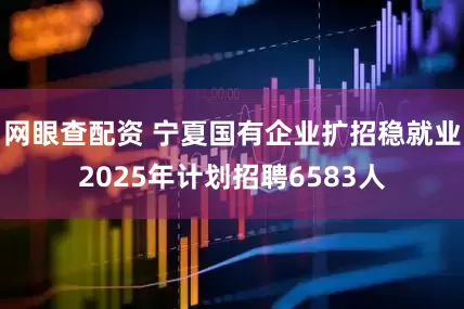 网眼查配资 宁夏国有企业扩招稳就业2025年计划招聘6583人