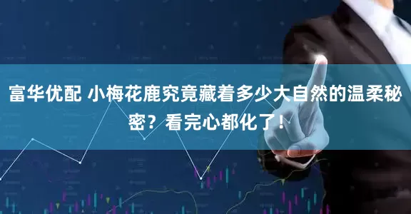 富华优配 小梅花鹿究竟藏着多少大自然的温柔秘密？看完心都化了！