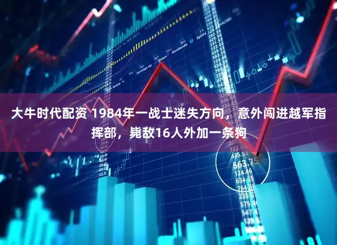 大牛时代配资 1984年一战士迷失方向,意外闯进越军指挥部,毙敌16人外加一条狗