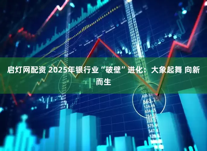 启灯网配资 2025年银行业“破壁”进化：大象起舞 向新而生
